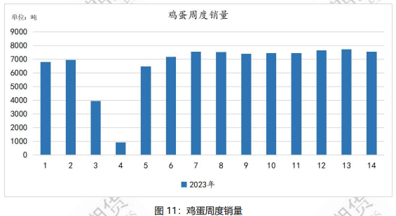 淘鸡养殖成本有所上升 鸡蛋价格维持相对高位