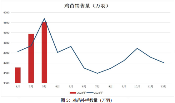 淘鸡养殖成本有所上升 鸡蛋价格维持相对高位