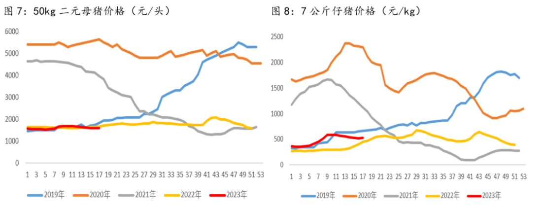 猪价底部震荡 短期生猪或仍维持近弱远强格局