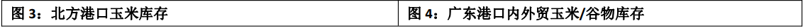 内贸玉米需求仍旧寡淡 盘面玉米价格或跟随小麦反弹