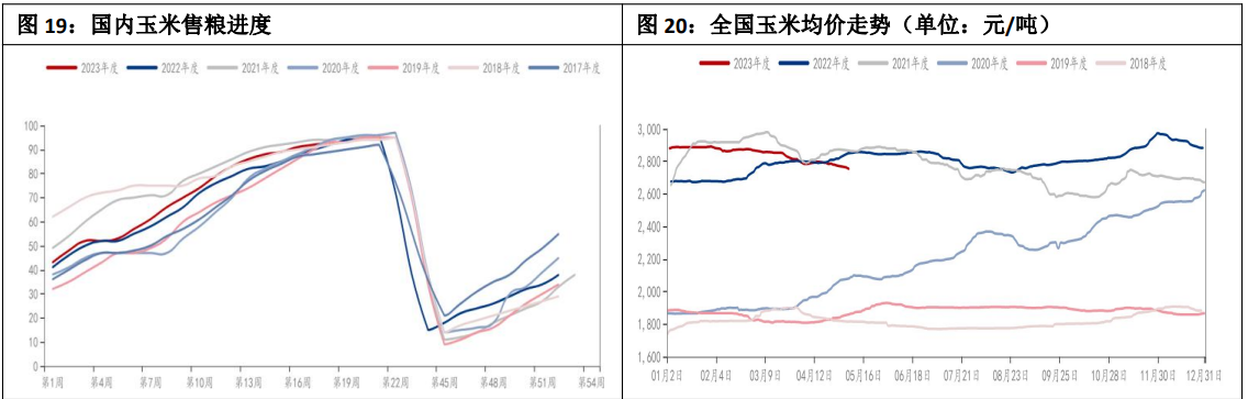 内贸玉米需求仍旧寡淡 盘面玉米价格或跟随小麦反弹