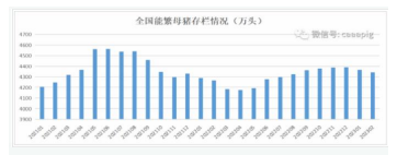 消费需求仍偏弱 短期生猪市场或震荡运行