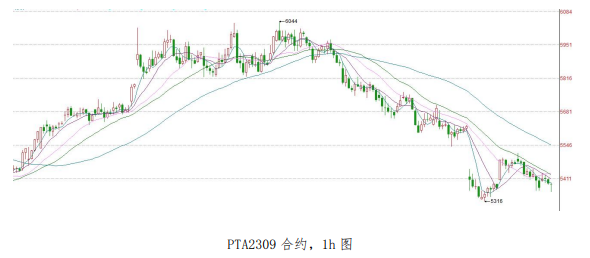 下游利润表现不佳 短期PTA盘面或偏弱整理