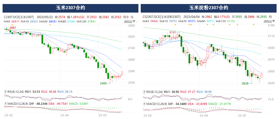 广发期货玉米周报：玉米企稳 阶段性利空交易较为充分