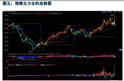 库存紧缺 短期棉花或区间震荡运行