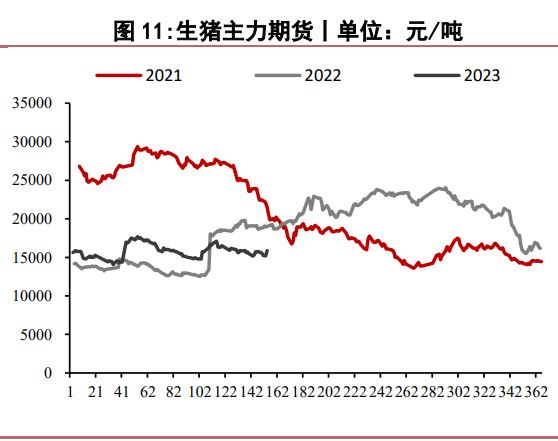 需求端仍未见起色 生猪消费市场不温不火