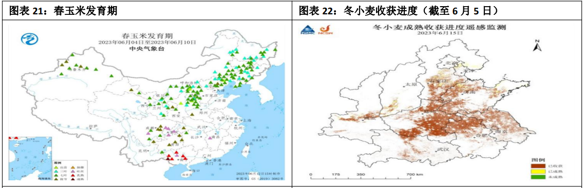 国内玉米库存继续去化 宏观流动性紧缩超预期