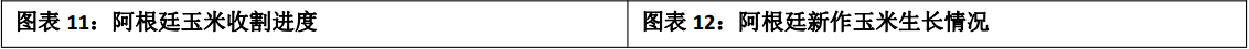 国内玉米库存继续去化 宏观流动性紧缩超预期