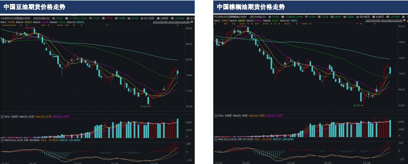 油脂周报：中国油脂价格走势偏强