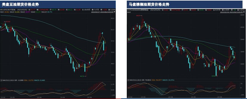 油脂周报：中国油脂价格走势偏强