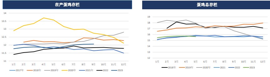 鸡蛋期货周报：现货价格后市仍有回落可能