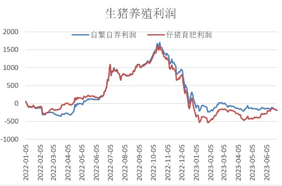 供应宽松需求疲软 生猪行情大概率保持弱稳状态