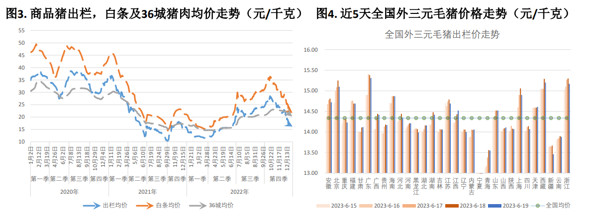 本周猪价震荡偏强运行 月底集团场拉涨