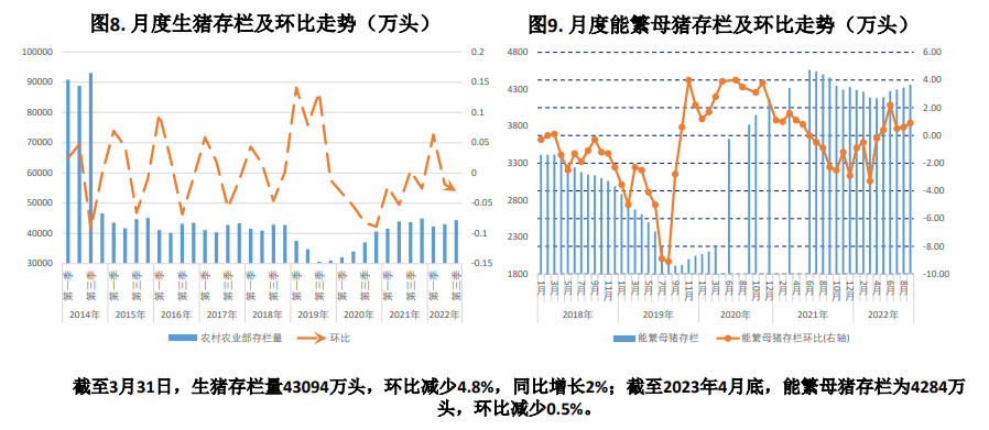 本周猪价震荡偏强运行 月底集团场拉涨