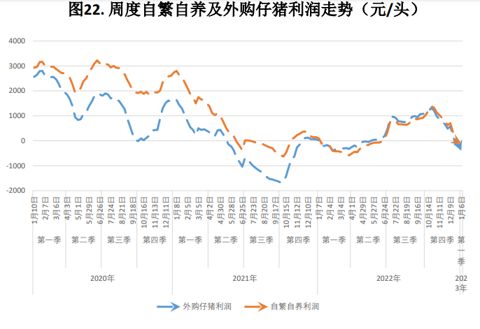 本周猪价震荡偏强运行 月底集团场拉涨