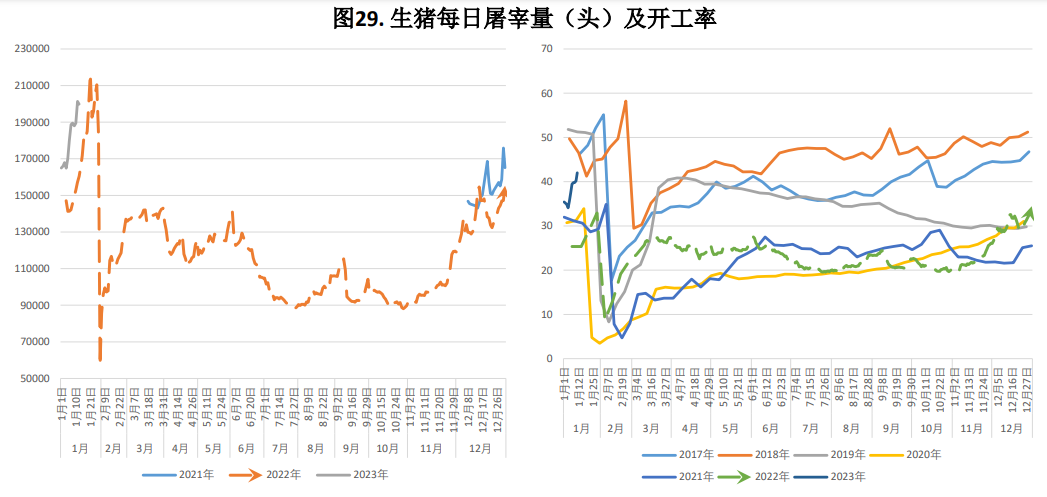 本周猪价震荡偏强运行 月底集团场拉涨