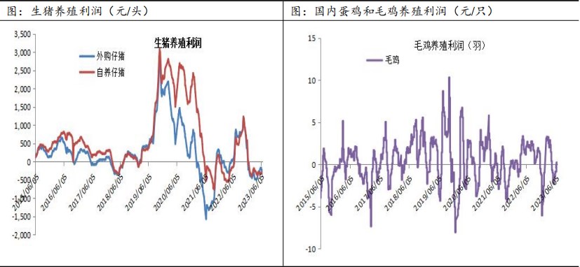 2023年下半年豆粕行情展望：宽幅震荡 近强远弱格局明显