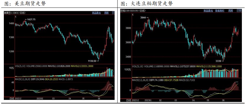 2023年下半年豆粕行情展望：宽幅震荡 近强远弱格局明显