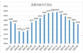 养殖端出栏积极性提高 生猪维持偏弱态势