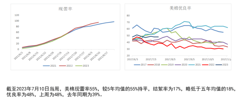 下游需求疲态显现 短期预计棉花价格或宽幅震荡运行