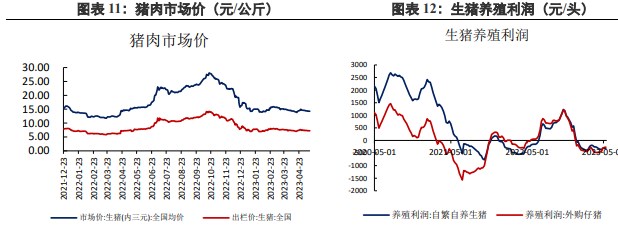 尚未出现明显供需矛盾 豆油后市维持高位震荡