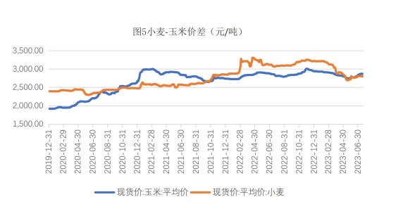 生猪产能仍处于高位 玉米价格高位承压