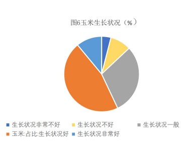 生猪产能仍处于高位 玉米价格高位承压