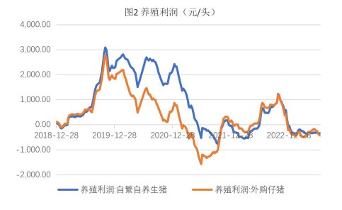 生猪产能仍处于高位 玉米价格高位承压