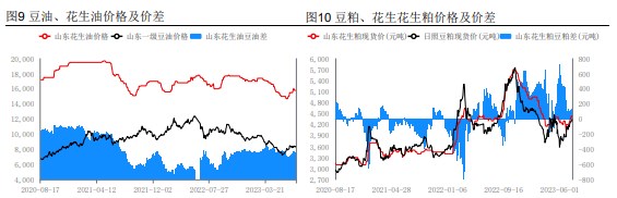 供需重回紧平衡状态 花生有望维持区间震荡