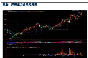 新年度产量担忧支撑 棉花价格持续震荡偏强