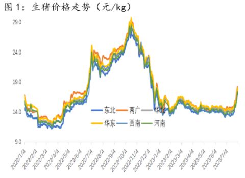 生猪养殖端亏损已有半年有余 市场盼涨情绪浓厚