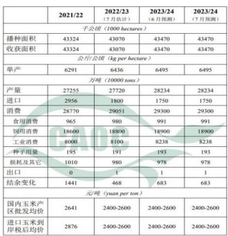 新作产量有下降风险 玉米价格强势运行