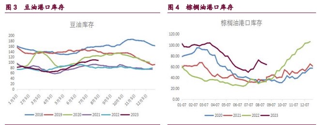 豆粕盘面波动明显加剧 油脂期货震荡盘整