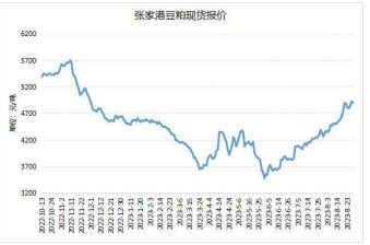 下游备货积极性较高 豆粕消费呈现向好趋势