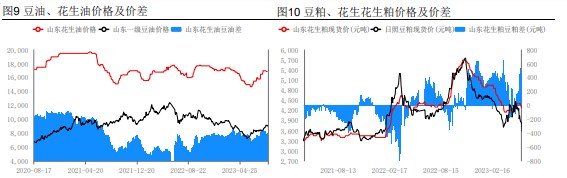 新花生上货量陆续增加 部分地区价格弱势调整