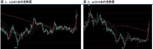 市场做多情绪升温 橡胶价格强势拉升