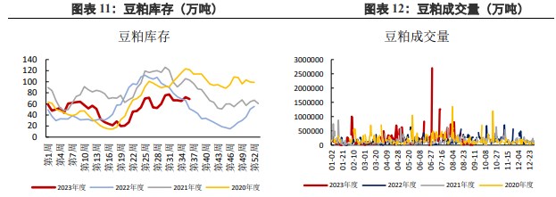 豆粕供应约束收紧 下方支撑仍存