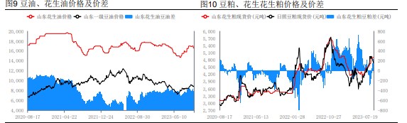 油厂入市开收 花生市场情绪受到提振