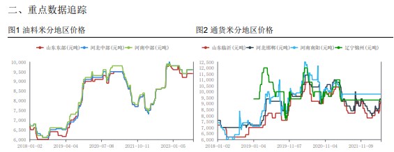 油厂入市开收 花生市场情绪受到提振