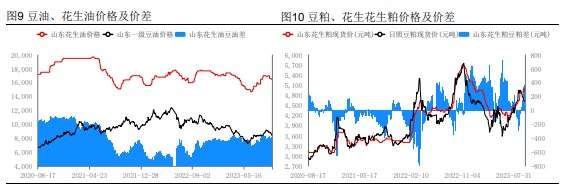 双节备货节奏仍不见起色 花生或将围绕新季估值窄幅波动