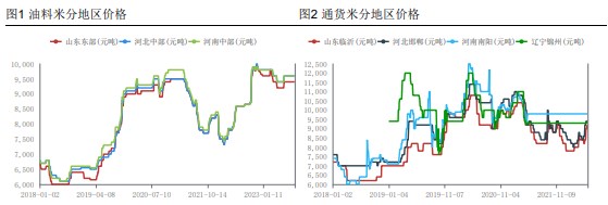 双节备货节奏仍不见起色 花生或将围绕新季估值窄幅波动