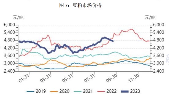 需求跟进不足 生猪价格涨势乏力