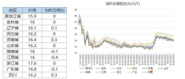 节前出栏窗口期缩短 生猪日均出栏压力较大