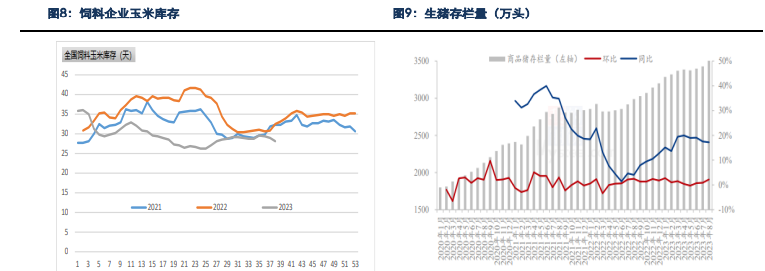 贸易商囤货意愿较差 玉米现货预计持续下跌