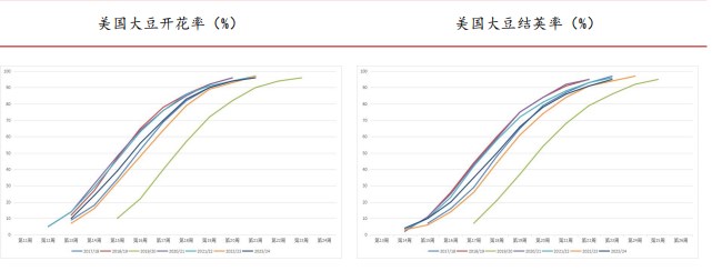 市场预期始终偏向悲观 导致豆粕期货价格持续偏弱