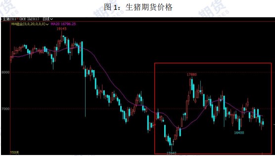 市场情绪推涨 生猪价格或有所突破