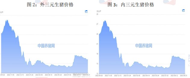 市场情绪推涨 生猪价格或有所突破