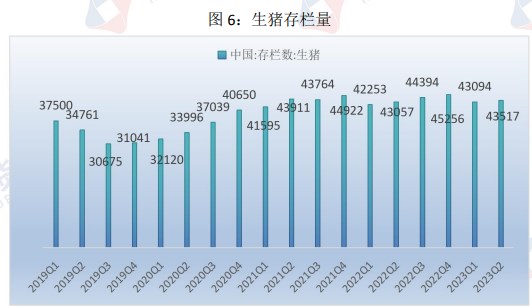 市场情绪推涨 生猪价格或有所突破