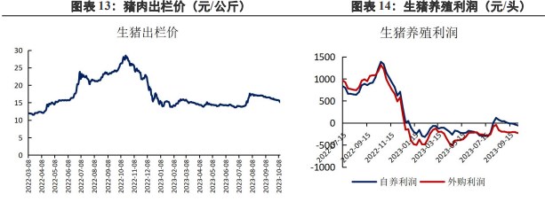 下游需求仍然较弱 供应充裕施压豆粕盘面