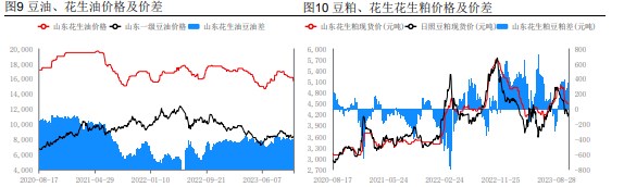 市场购销氛围低迷 花生价格稳中偏弱